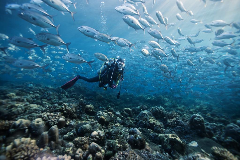 The Orca Ξενοδοχείο Hulhumale Εξωτερικό φωτογραφία